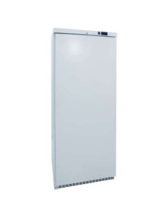 Armario GN2/1 Lacado Blanco 600 litros Congelados de 780 x742 x1865