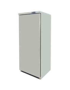 Armario GN2/1 Inoxidable 600 litros Congelados de 780 x742 x1865