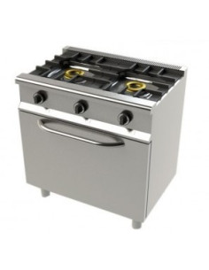 Cocina industrial a gas 2 fuegos con horno