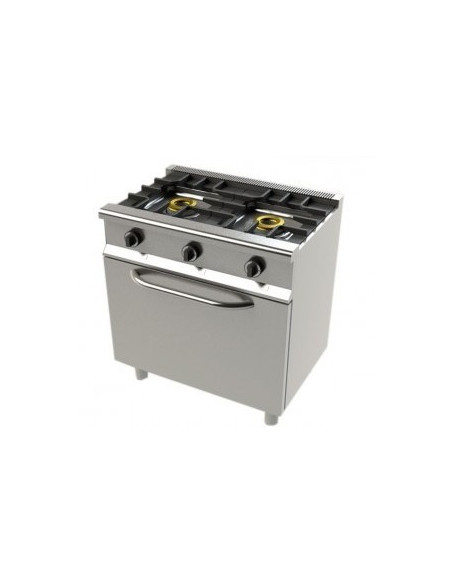 Cocina industrial a gas 2 fuegos con horno