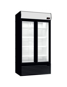 Armario expositor refrigerado subcero.