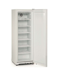 ARMARIO SNACK CONGELADOS 350L BLANCO