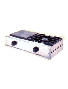 ENCIMERAS INDUSTRIALES SHG100  IECSA